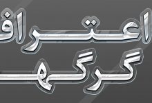 اعتراف گرگ ها